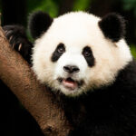 Landingpage BuM Galerie 02 20260821
